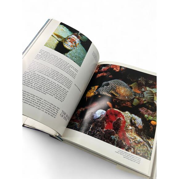 The Ocean World of Jacques Cousteau Hardcover Coffee Table Picture Photography - Picture 4 of 6